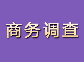 酒泉商务调查